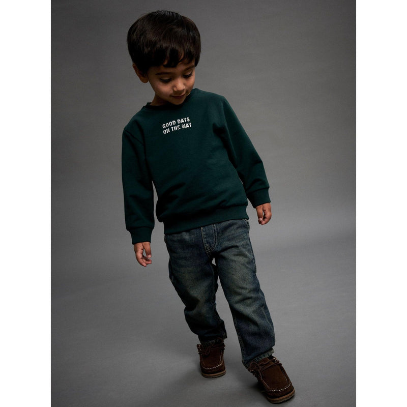 Name it trøje SLADE - Pine Grove-Trøje-Name it-Ollifant.dk